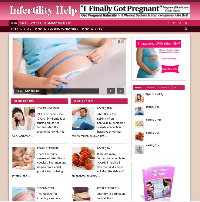 4 Premade Niche Websites – Infertility Blog, Credit Repair, Work from Home, Make