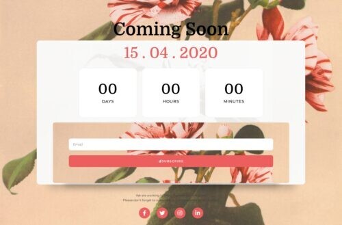 Beautiful Elementor Templates 15 , Mobile Responsive, Salon WordPress Website.