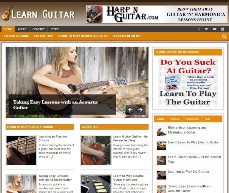Learn Guitar Ready Made Blog Turnkey Niche Website Business for Sale