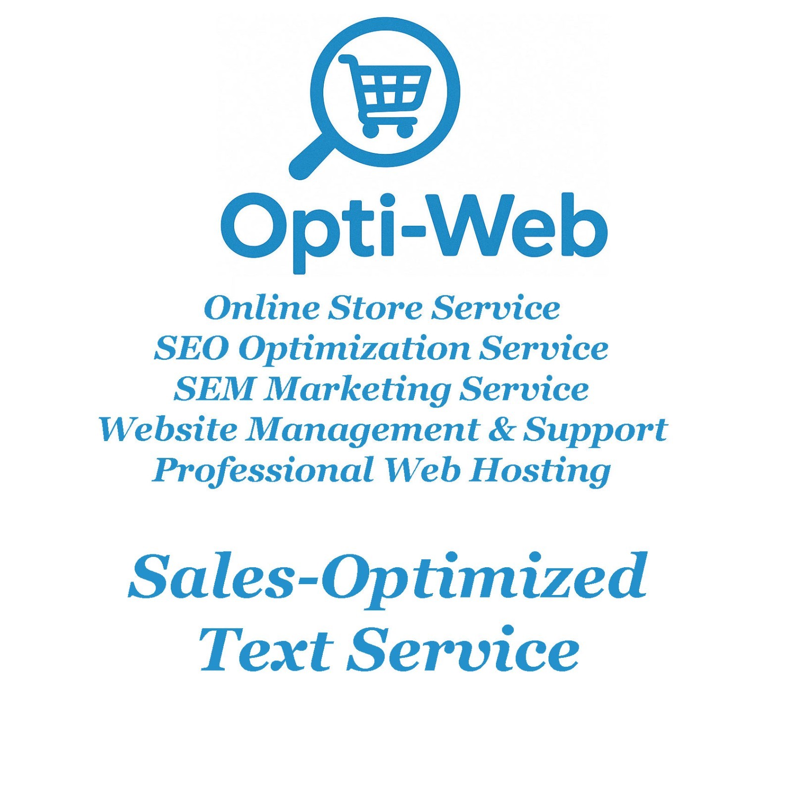 SEO Optimization for 1 Shop Product – Title, Meta, Keywords & URL