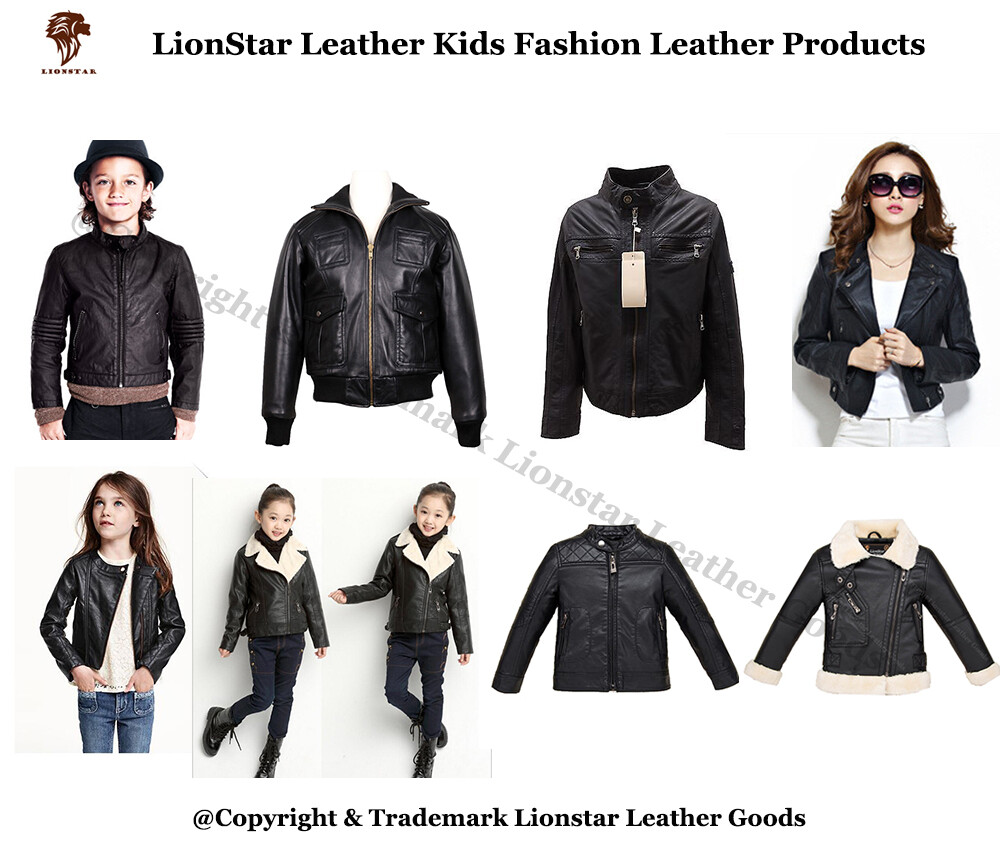 Lionstar Leather Franchise Business Dealership (Golden Chance)