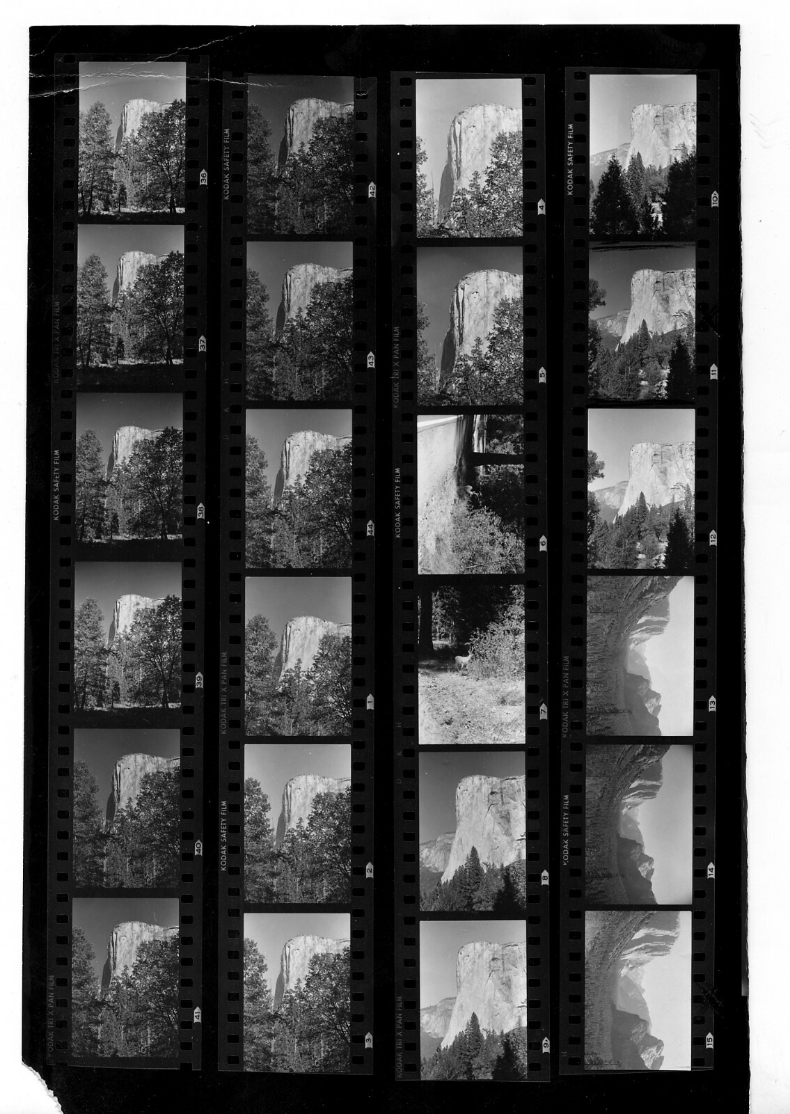 Business Opportunity – Yosemite 35mm Black and White Negatives