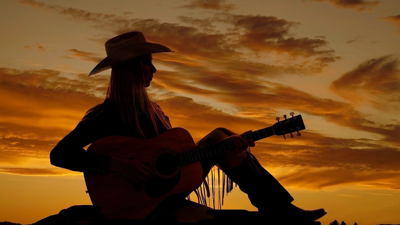125k Validated Emails of People Interested in Country Music
