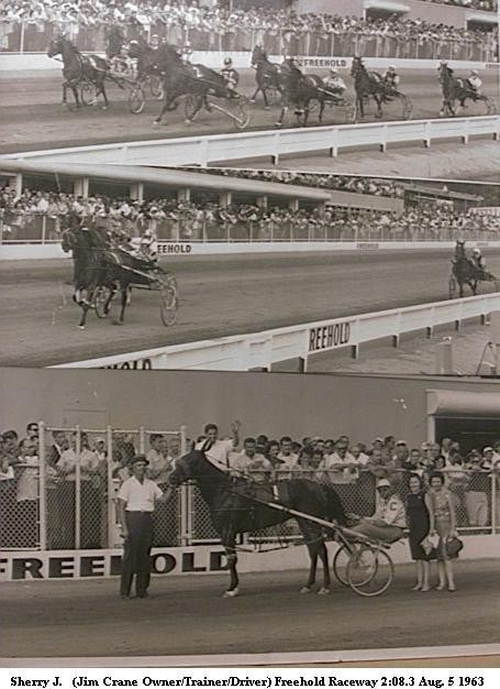 ChristianHorsemen.com INTERNET DOMAIN HARNESS HORSE RACING STANDARDBRED HORSEMEN