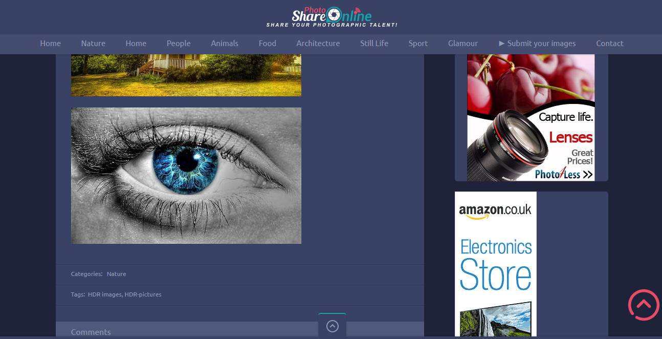 Profitable PHOTO Sharing & Showcase Membership Business Website For Sale