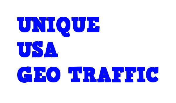 7,000 Real USA Organic TRAFFIC from Search Engine Referrals & 3 Keywords