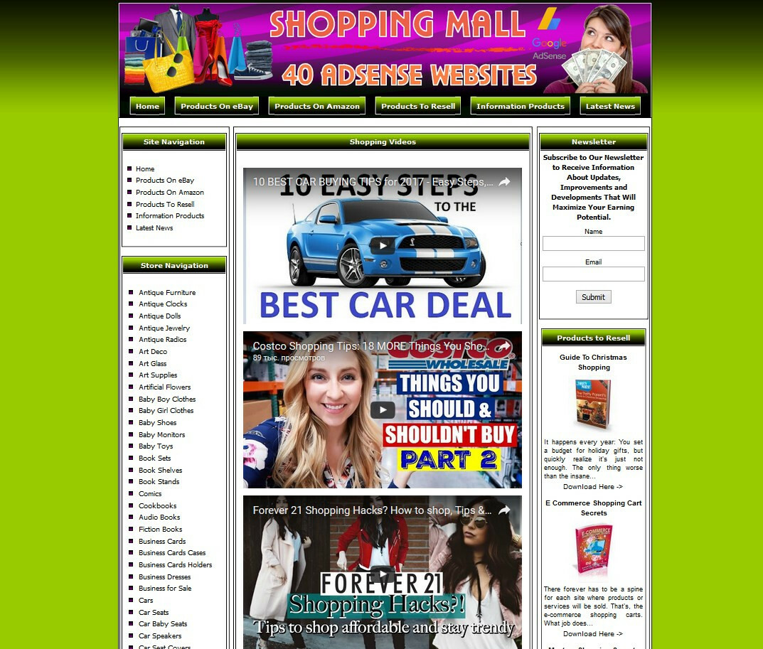 40 GOOGLE ADSENSE AUTOMATED WEBSITES STORE FOR SALE