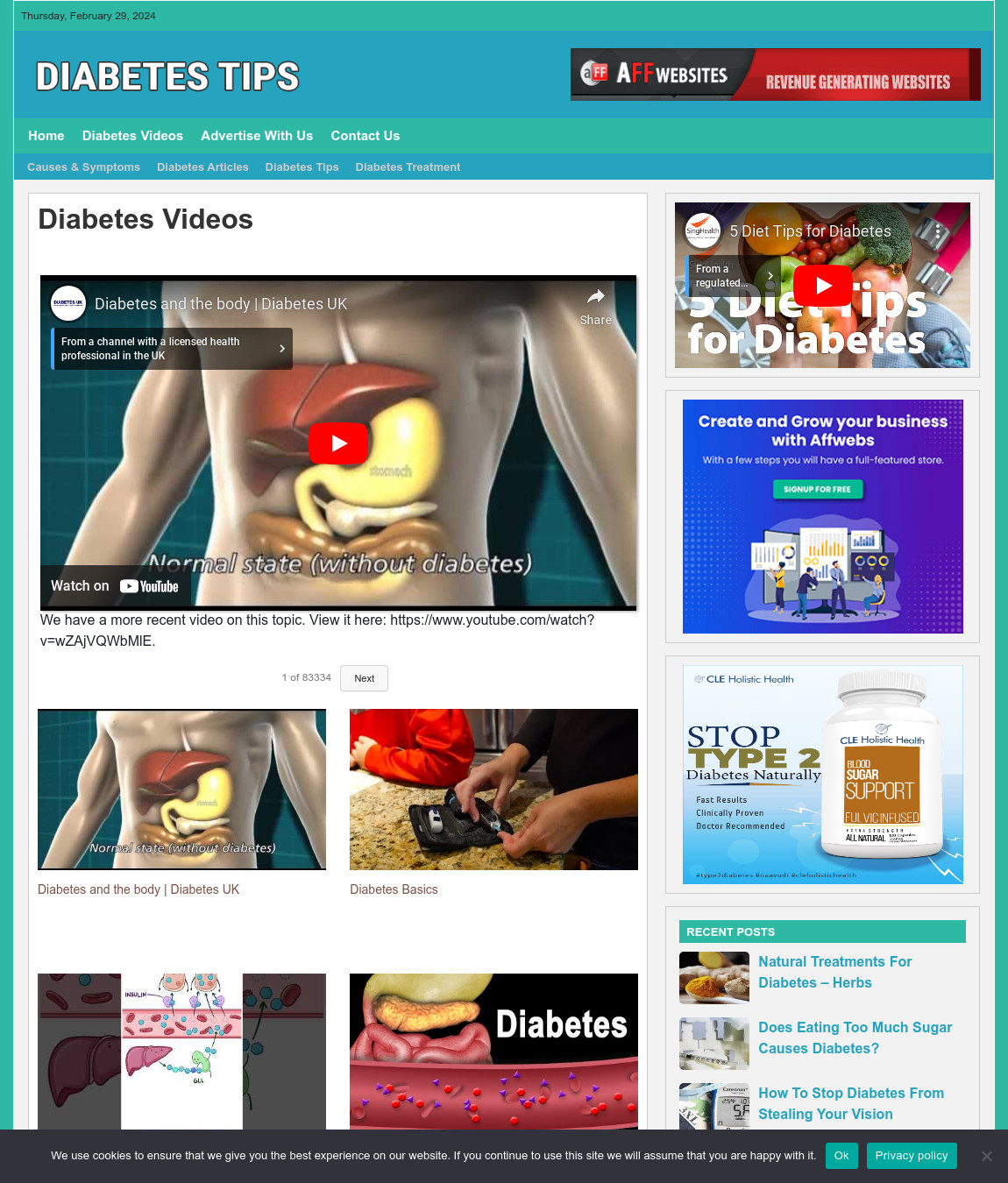 DIABETES TIPS Website Business For Sale – Work From Home Internet Business