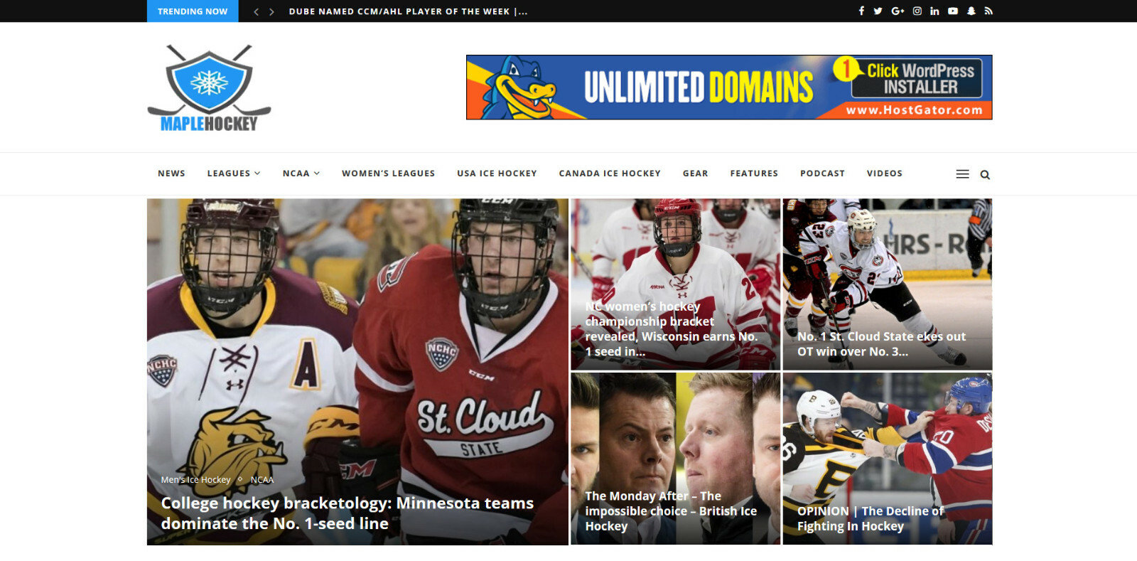 WordPress Automated Ice Hockey News Website – Turnkey Profitable Site