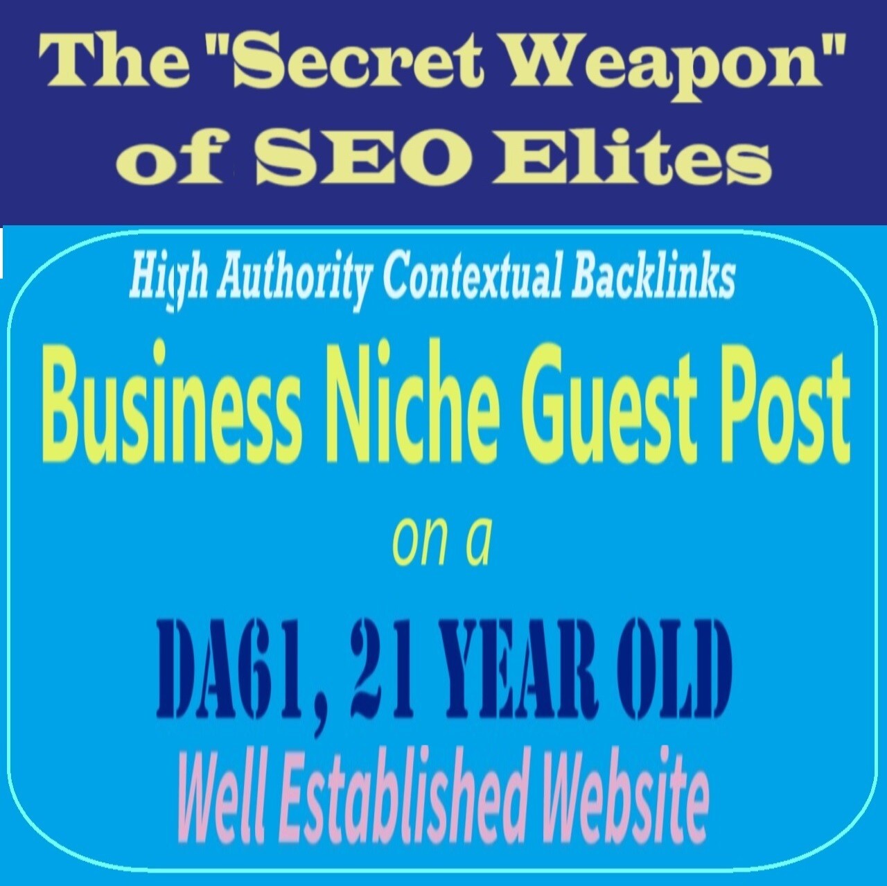 Premium SEO Guest Post on my DA60 Plus Business Blog with Dofollow backlink