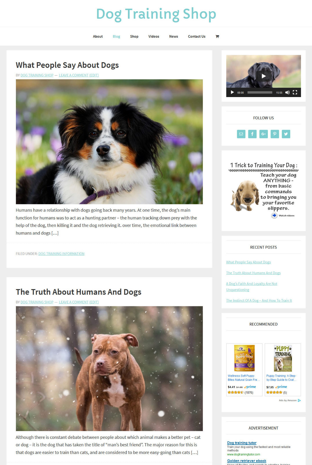[NEW DESIGN] * DOG TRAINING * store blog website business for sale AUTO CONTENT