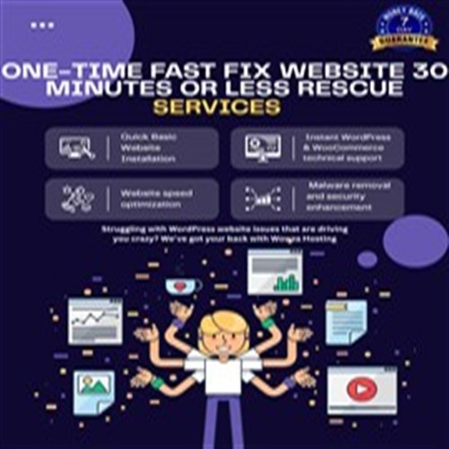 One-Time Quick Fix Internet WordPress WebSite Business Rescue