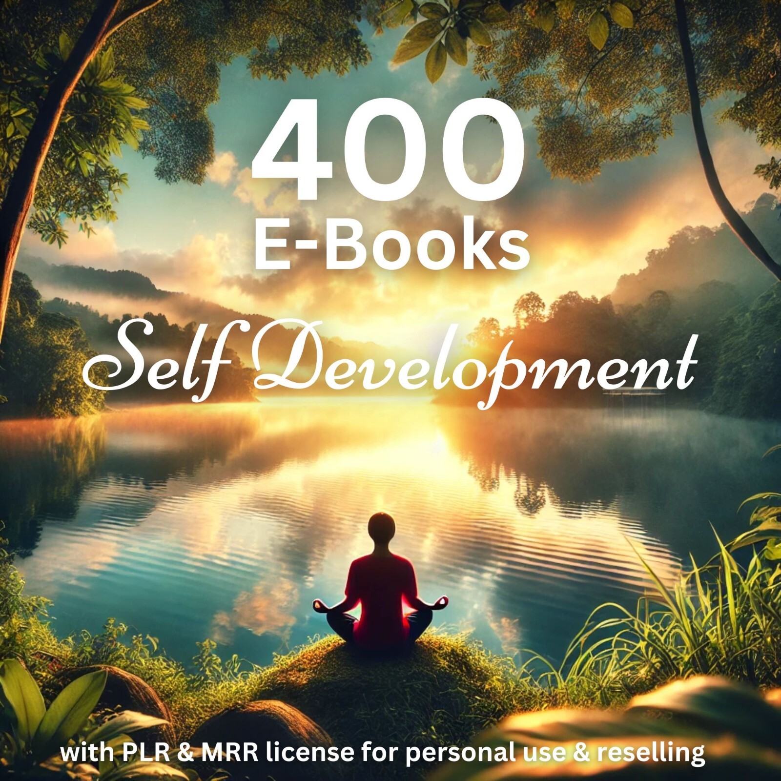 400 Self-Development E-Books in English with PLR & MRR License (Digital)