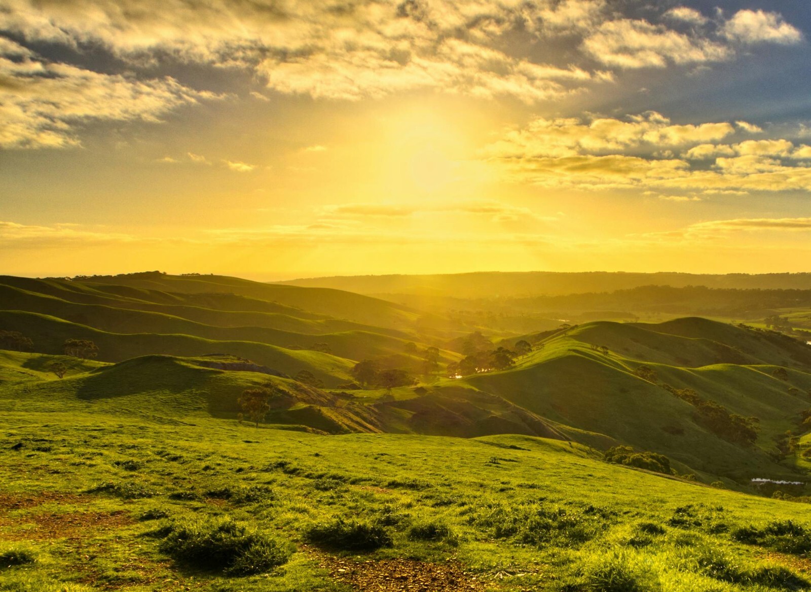Own Australia’s Longest Place Name Domain – Unique Opportunity!