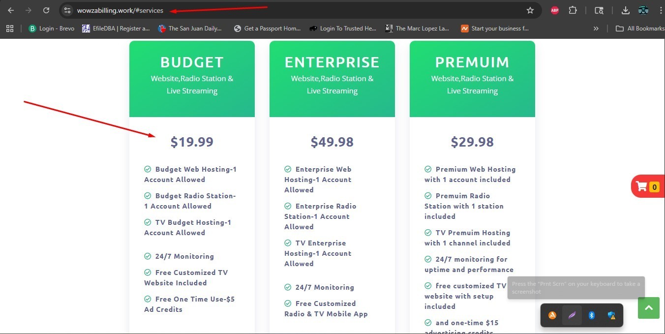 Professional Internet Business | Save off Shopify fees & get your own store