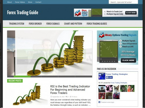 🥇 Turnkey Forex Trading Niche Blog Website
