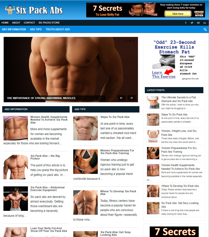 Six Pack Abs Ready Made Blog Turnkey Niche Website Business for Sale