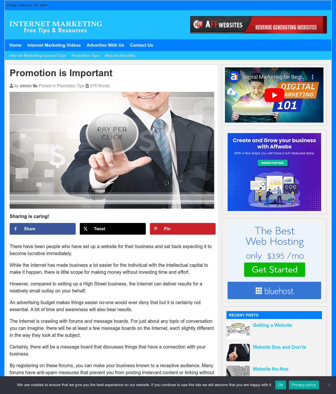 Internet Marketing Website Business For Sale: Ready-to-Launch Free Installation