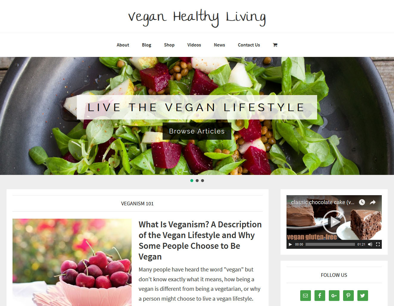* VEGAN HEALTH * store blog affiliate website business for sale AUTO CONTENT