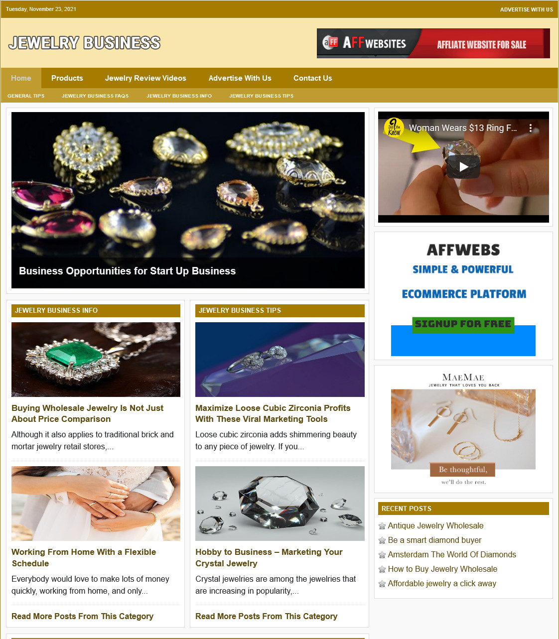JEWELRY TIPS Website Business For Sale – Work From Home Internet Business