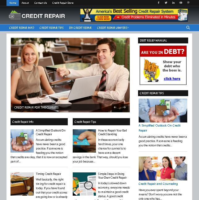 4 Premade Niche Websites – Infertility Blog, Credit Repair, Work from Home, Make